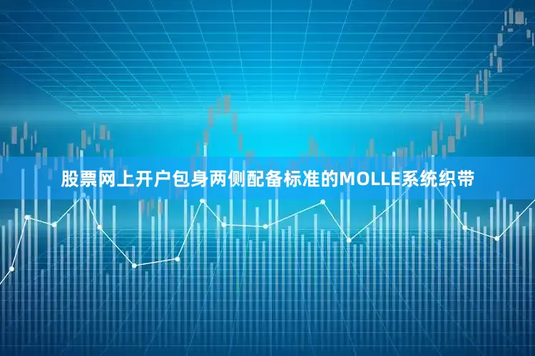 股票网上开户包身两侧配备标准的MOLLE系统织带