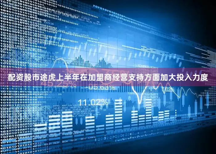 配资股市途虎上半年在加盟商经营支持方面加大投入力度