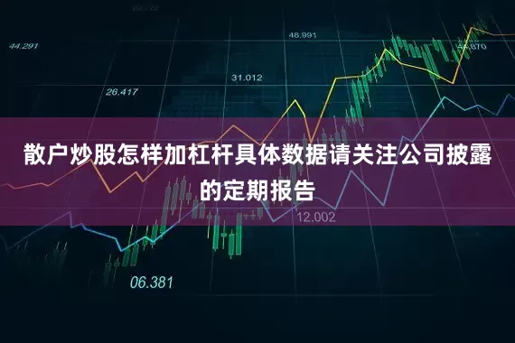 散户炒股怎样加杠杆具体数据请关注公司披露的定期报告