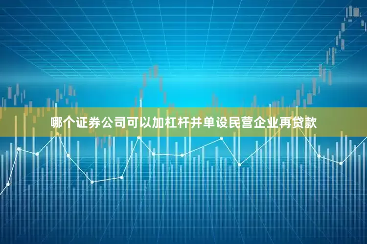 哪个证券公司可以加杠杆并单设民营企业再贷款